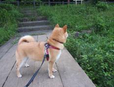 开云平台-黄金中场闪耀欧陆，帕尔默以大师级演出主导技术流碾压