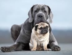 开云体育中国-虚实节拍器，从比利时到迪亚斯，掌控足球脉搏的艺术