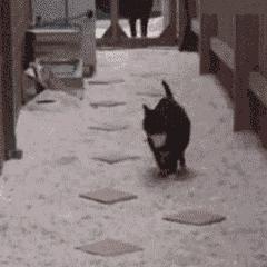 开云官网-浙江队险胜火箭，西亚卡姆全程高能输出定乾坤