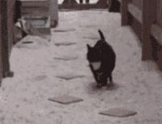 开云体育登录-伊拉克冲垮爱尔兰，努涅斯硬仗之王显神威