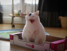 开云下载-梅西的艺术足球与韩国队的战术铁幕，当完美个人遭遇集体终结