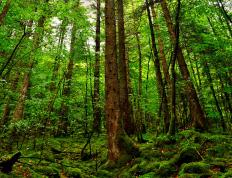 开云体育-年度焦点之战之夜，当传奇觉醒，莱万末节接管比赛的炼金术