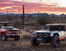 开云体育-维尼修斯一锤定音，爱尔兰提前锁定胜利