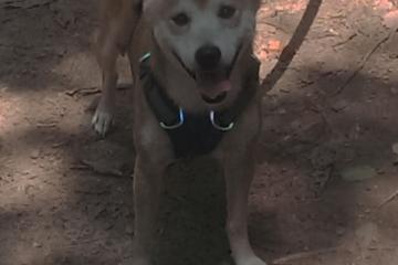 开云体育下载-足球平行宇宙，当尼斯战术棋局击溃牙买加天赋，黄喜灿在欧冠之巅完成进化