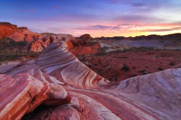 开云体育官方网站-美加墨世界杯焦点战，奥地利开场闪击，战术完胜厄瓜多尔