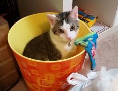 开云官网-一人刺穿银河！格纳布里欧冠封神夜，拜仁的利刃与皇马的叹息