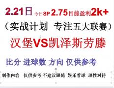 开云体育入口-汉堡球队遭遇连败，排名继续下滑