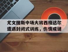 开云体育登录-包含尤文图斯中场大将西格达尔遭遇封闭式训练，伤情成谜的词条