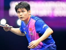 开云体育在线-德国乒乓球队强势瑞典乒乓球队，王皓高光表现的简单介绍