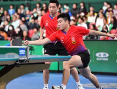 开云APP-波兰队险胜德国队，张本智和扛起全队的简单介绍