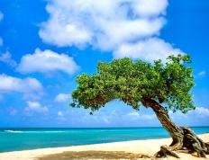 开云体育平台APP-孤胆英雄与钢铁洪流，基耶萨的硬仗美学与墨西哥的体系完胜