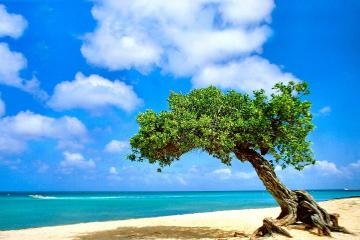 开云体育平台APP-孤胆英雄与钢铁洪流，基耶萨的硬仗美学与墨西哥的体系完胜