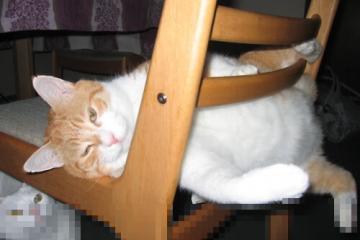 开云下载-棋手与舞者，塞内加尔的集体突围与阿什拉夫的英雄独白