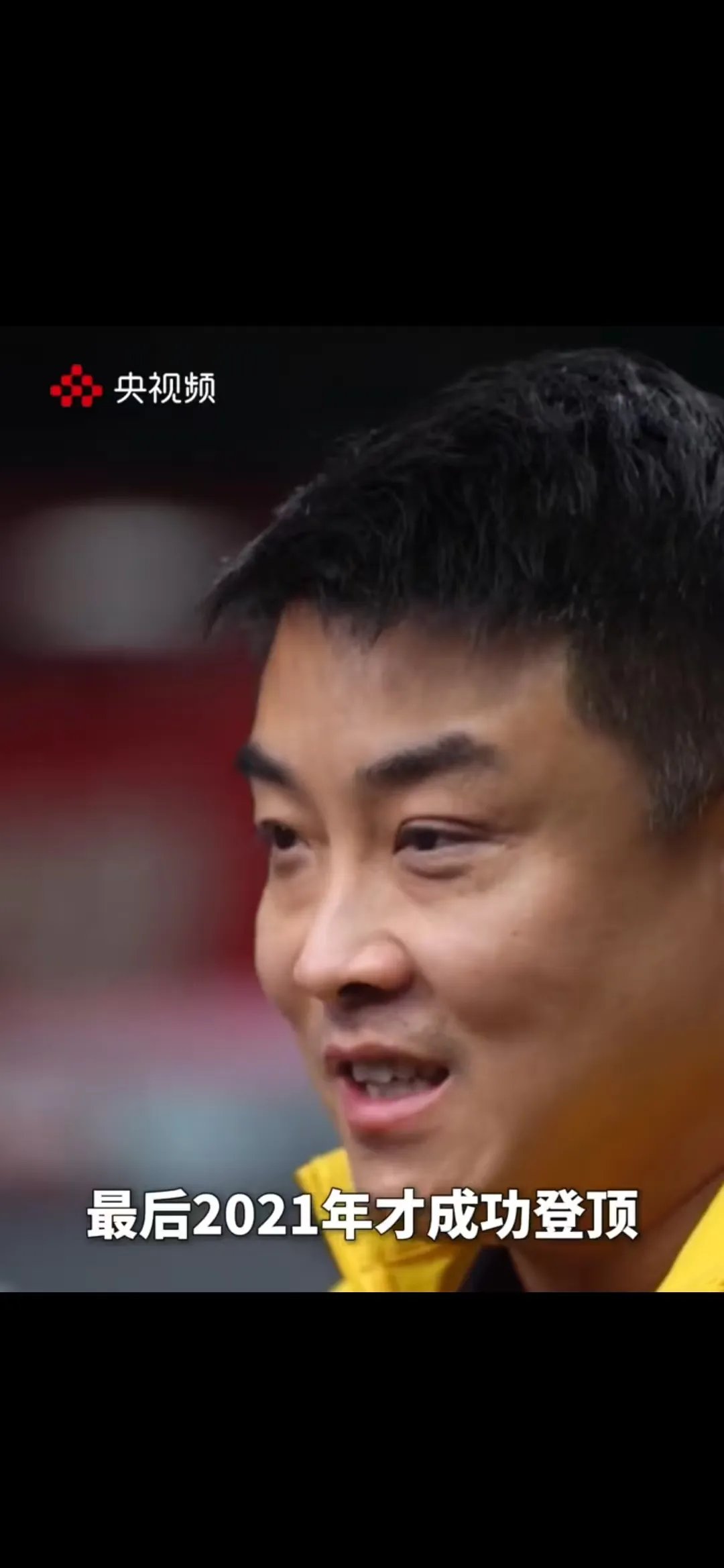 开云体育在线-德国乒乓球队强势瑞典乒乓球队，王皓高光表现的简单介绍