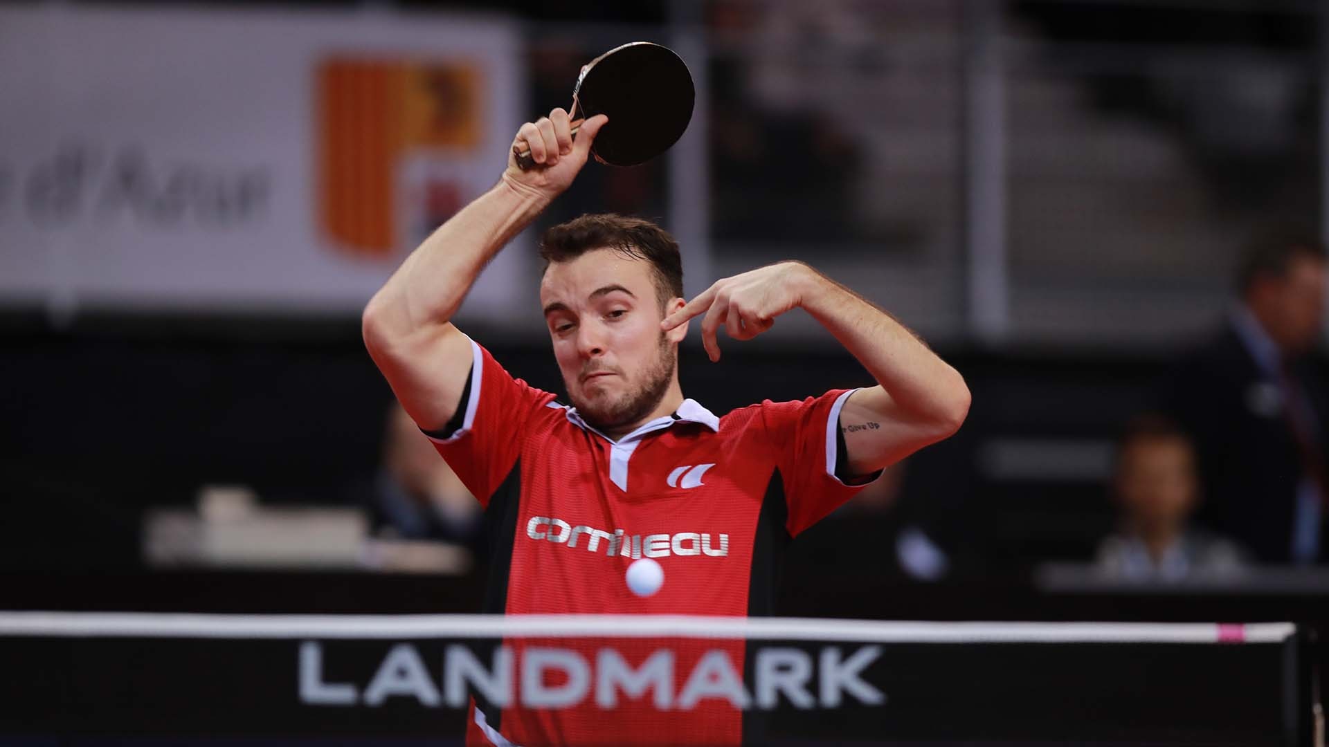 开云体育-奥地利队险胜韩国队，波尔高光表现