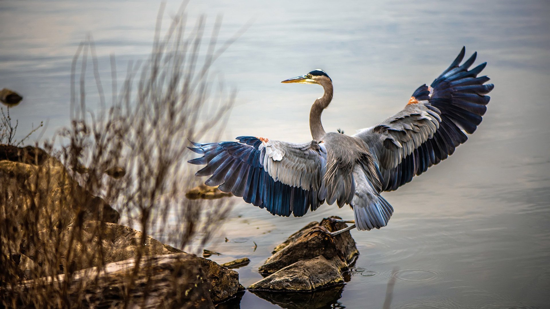开云APP-单节风暴定胜负，浙江队力克广厦队，世界舞台浓眉接管排名争夺战