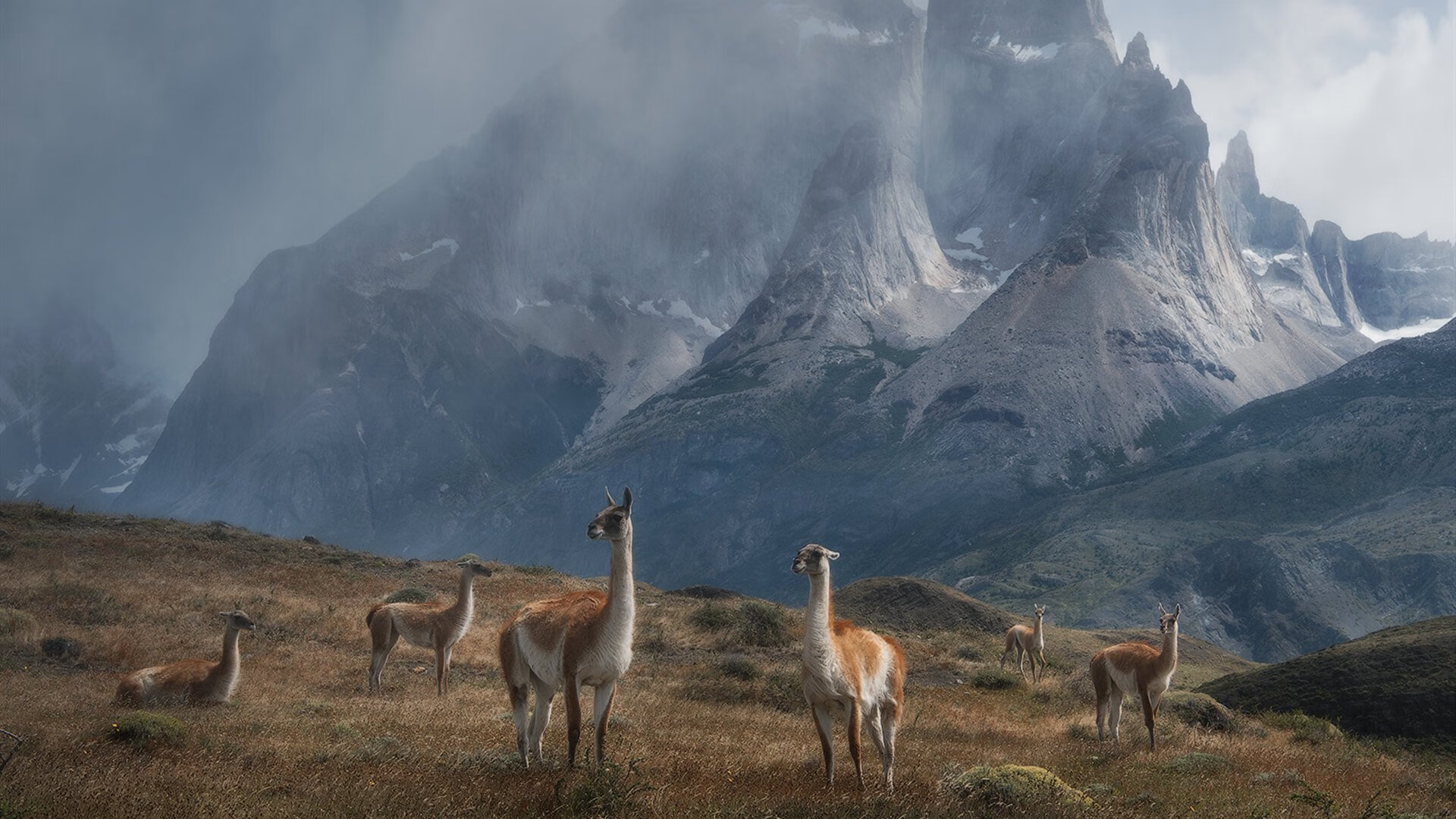 开云APP-F1年度争冠焦点战与尼克斯踏平勇士，体育竞技的跨界共鸣