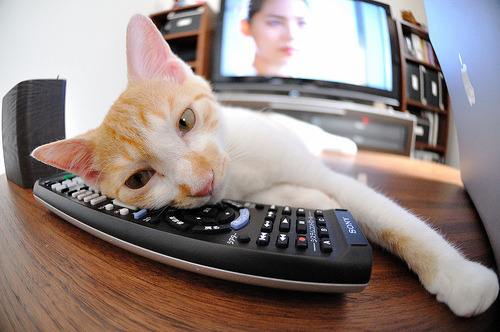 开云体育app-节奏之王，杰伦·格林如何用一己之力定义了深圳与掘金的攻防之魂