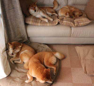 开云体育下载-2026世界杯焦点战,莱比锡红牛稳稳拿下阿森纳