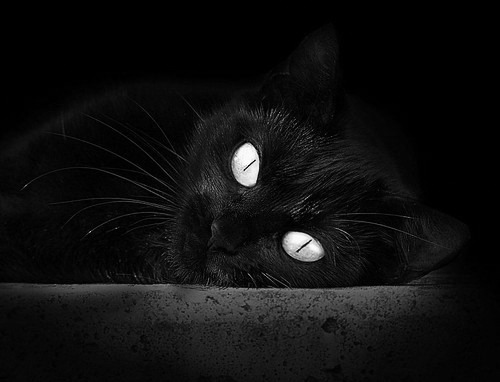 开云下载-攻防转换的艺术,从F1赛道到篮球场的速度与抉择