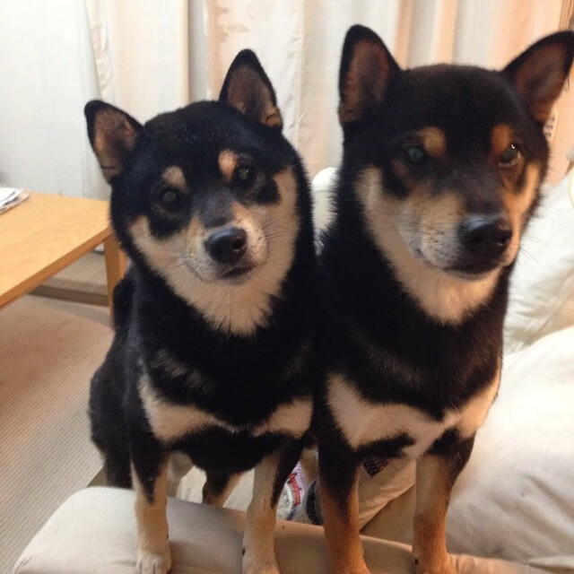 开云体育登录-跨界交辉，F1揭幕战之夜，库里星光璀璨夺目