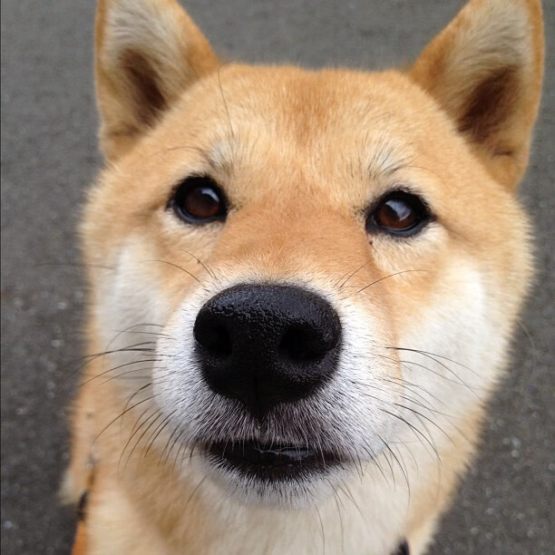 开云体育官方网站-双城记，当绿茵绝杀与篮坛奇迹在同一天发生