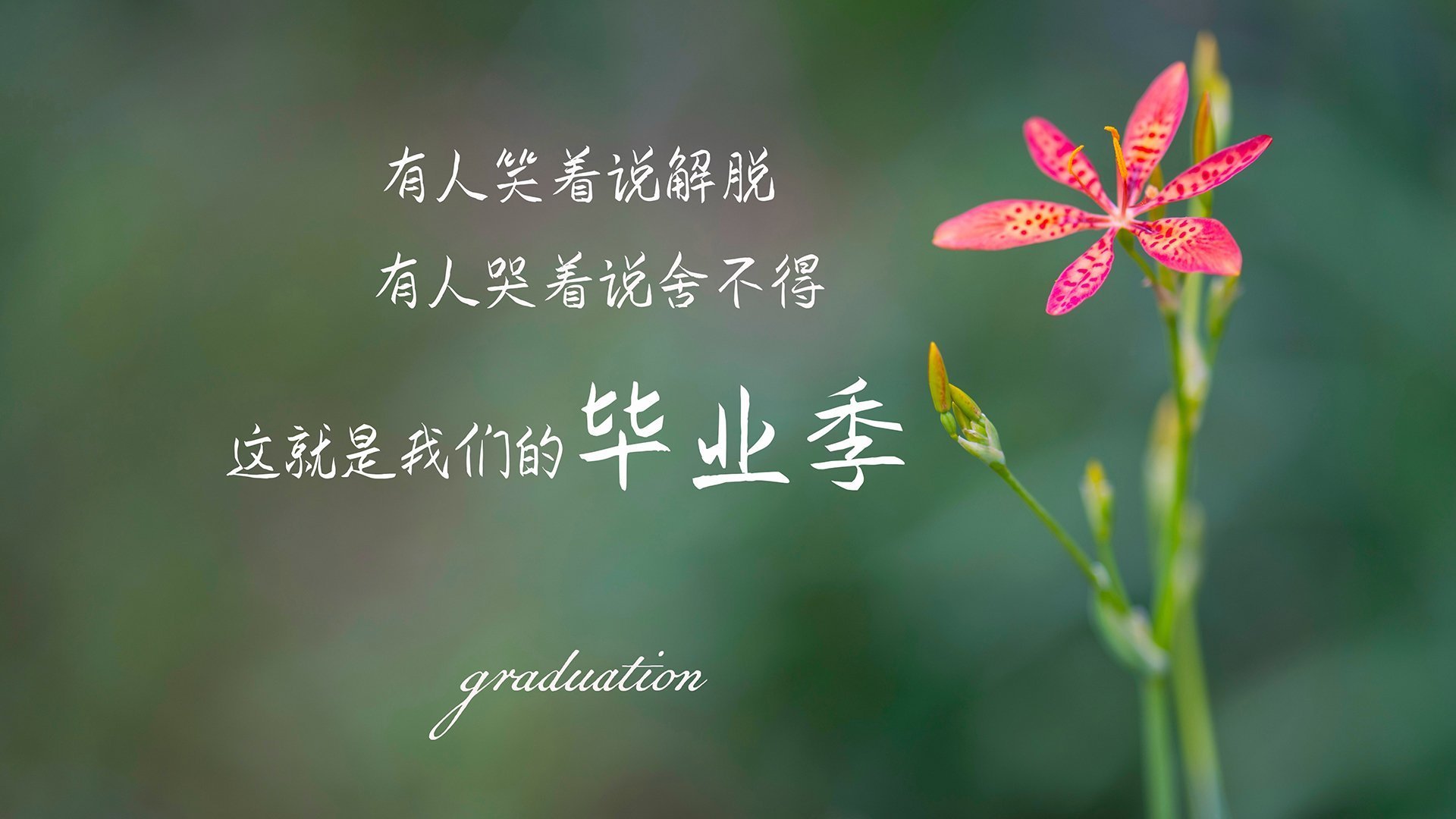 开云体育平台APP-塔图姆爆发难挽败局，广东队战术压制步行者赢得跨联赛对决