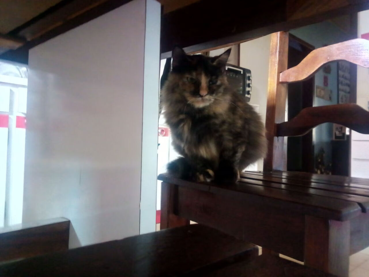 开云下载-独行侠完胜吉林队，莫兰特在争冠战中接管比赛，体育世界的领袖之力