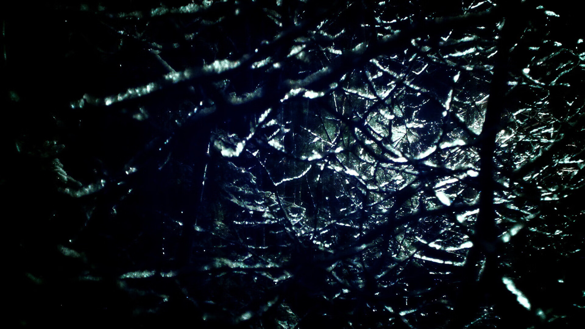 开云体育入口-关键先生维尼修斯闪耀全场，荷兰队逆转阿尔及利亚铸就经典