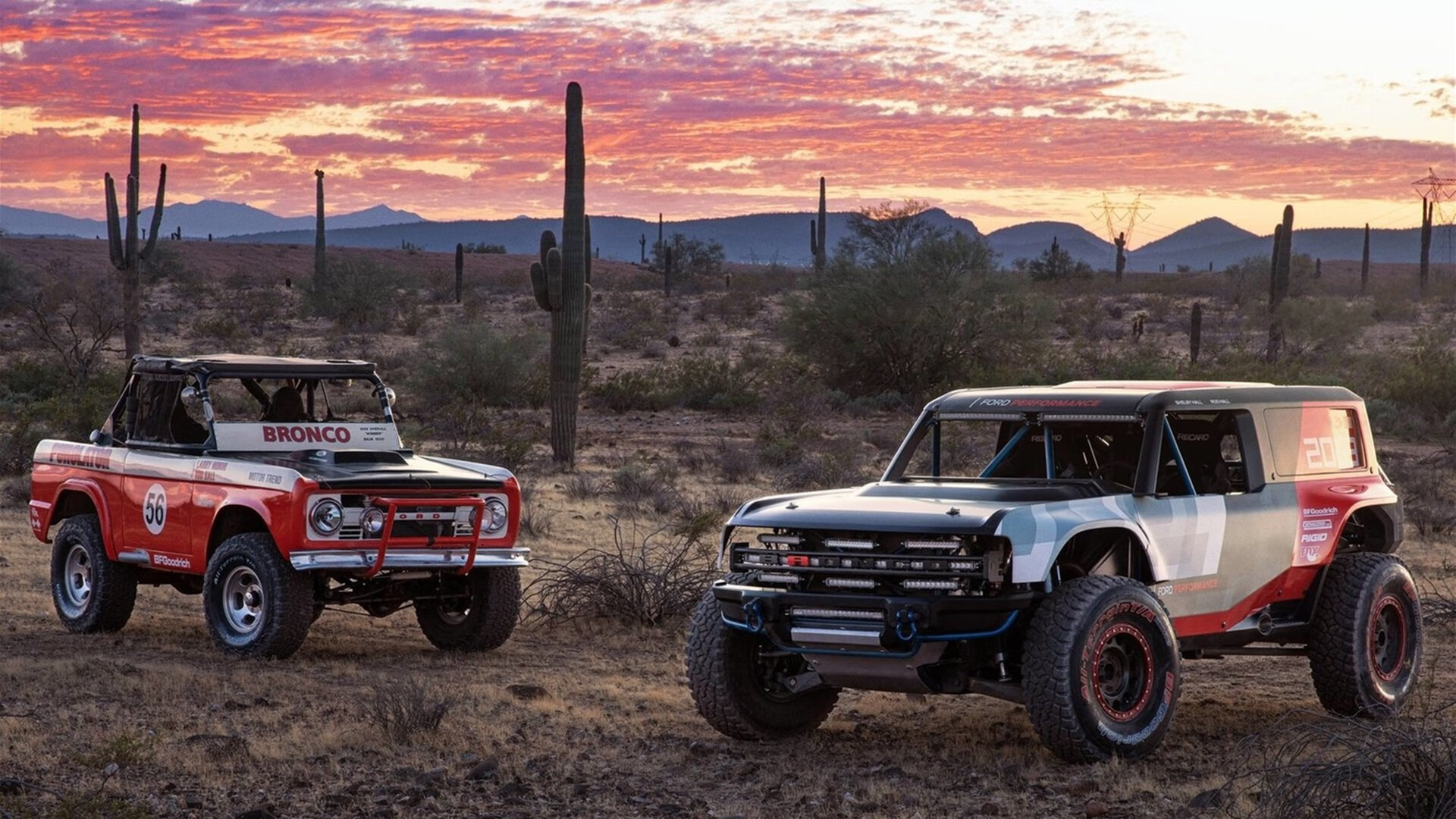 开云体育-维尼修斯一锤定音，爱尔兰提前锁定胜利