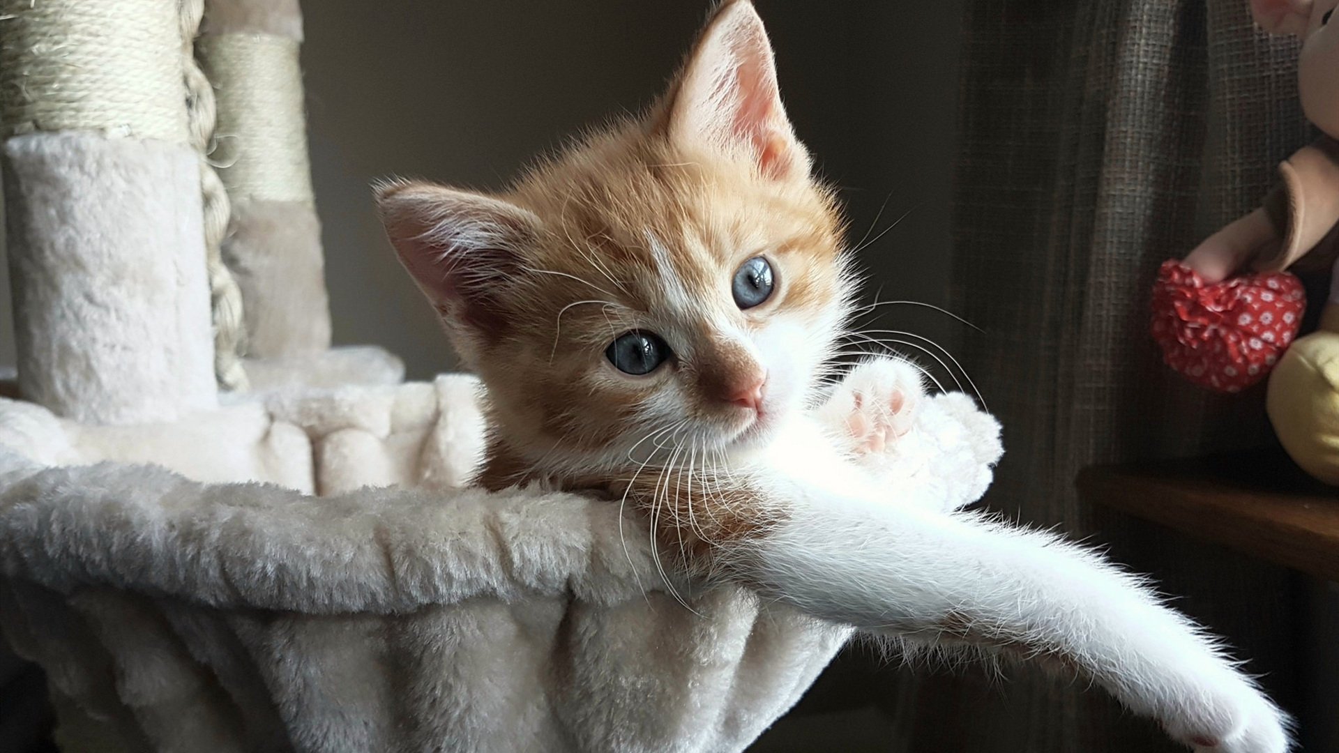 开云体育APP下载-特奥关键进球定乾坤，巴拉圭力克马德里竞技纪实