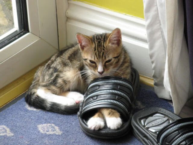 开云体育中国-球场上演古罗马征服战，克瓦拉茨赫利亚攻防统治，现代军团拿下喀麦隆